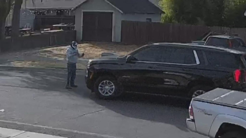 ICE responds after Woodland police dispute initial account of collision with pedestrian — CBS Bay Area (KPIX), San Francisco Health news