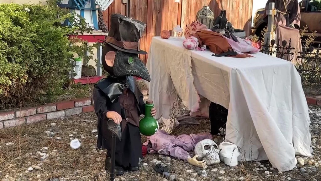 Halloween decorations worth roughly $700 stolen from San Leandro home — CBS Bay Area (KPIX), San Francisco Schools news