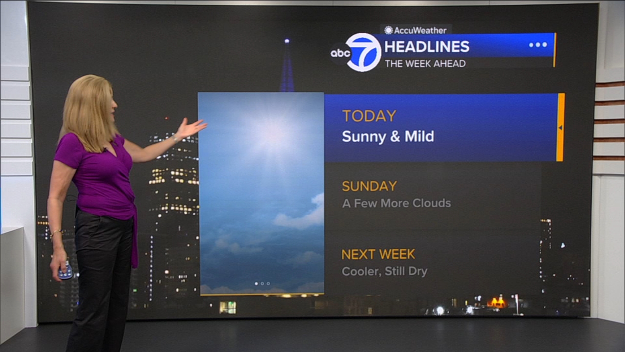 AccuWeather Forecast: Sunny and mild
— ABC 7 Bay Area, San Francisco Community news