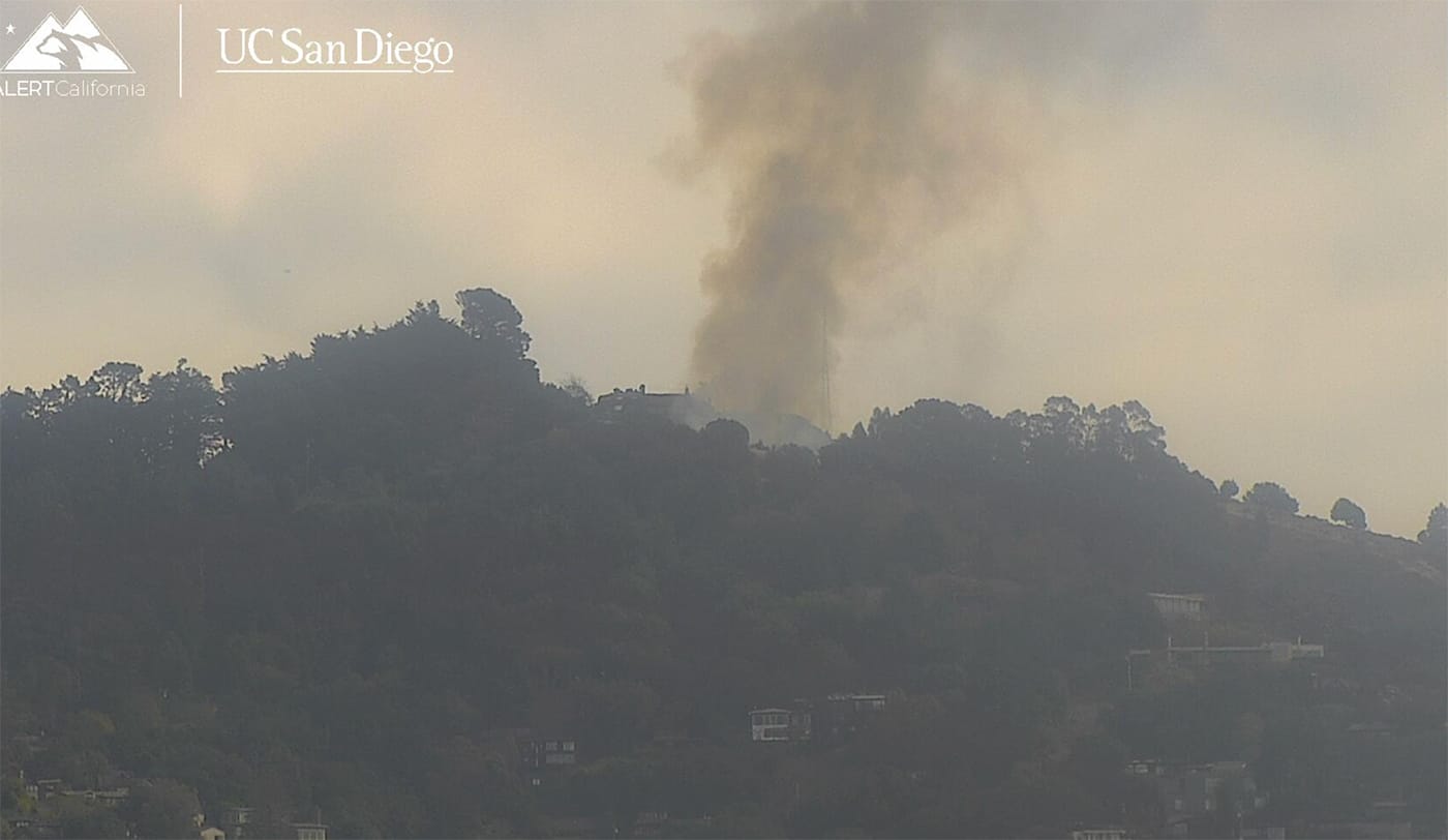 Vegetation Fire Breaks Out In Berkeley Hills, Luckily While Winds Are Very Calm — SFist