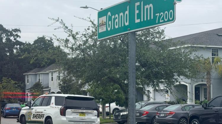 5-year-old boy with autism found dead in retention pond in Riverview: HCSO — WTSP Hillsborough County, San Francisco Community news