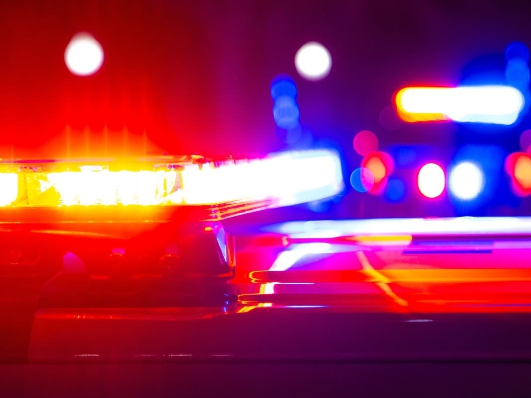 1 Rescued After Falling Into San Francisco Bay: Fire Officials — Piedmont Patch
