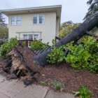 Learn about Piedmont’s El Niño storm preparations at Oct. 19 Council meeting — Piedmont Exedra