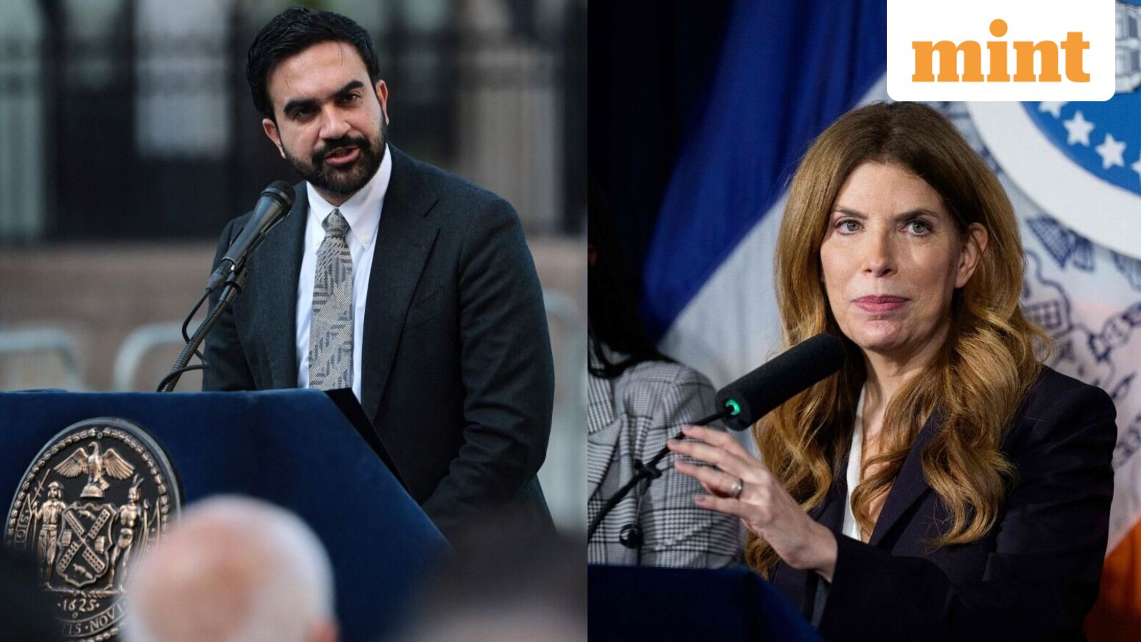 New York City's historic horse carriage rides to come to an end soon? All about Mayor Zohran Mamdani's latest move — Mint India, San Francisco Government news